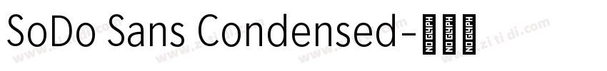 SoDo Sans Condensed字体转换